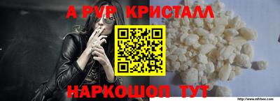 СК Белореченск