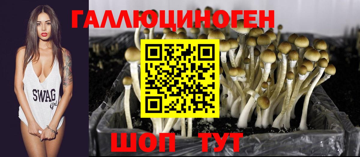 Галлюциногенные грибы MAGIC MUSHROOMS  Псилоцибиновые грибы мицелий  Артёмовский  Вход с VPN 