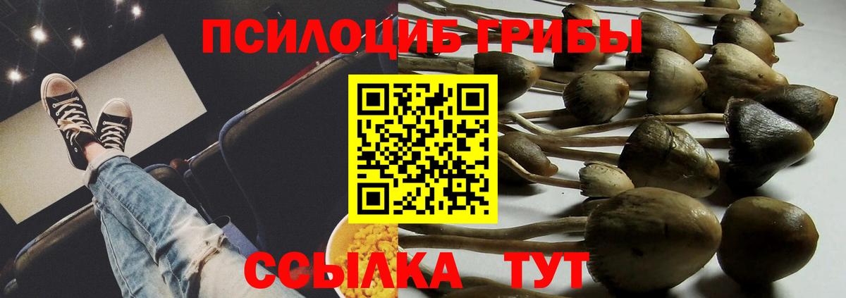 Псилоцибиновые грибы ЛСД Артёмовский